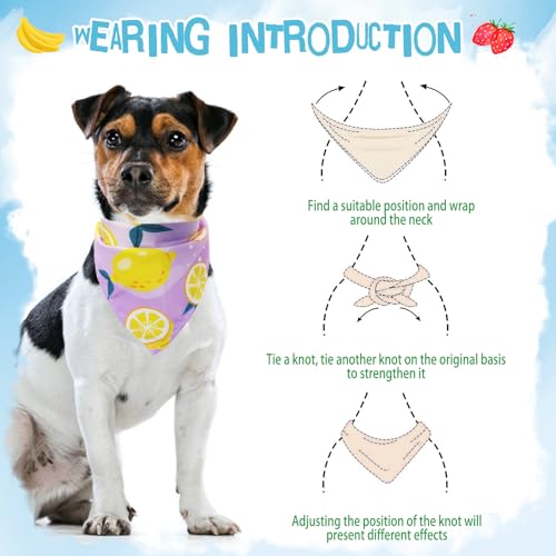 PUPTECK-Summer-Dog-Bandana-4pcs-Outfit-Fruit-Soft-Costume-Pet-Triangle-Bibs-Scarf-Pet-Accessories-Gifts-for-Small-Medium-Large-Dog-Cat-Boy-Girl-Spring PUPTECK Summer Dog Bandana 4pcs Outfit Fruit Soft Costume Pet Triangle Bibs Scarf Pet Accessories Gifts for Small Medium Large Dog Cat Boy Girl Spring