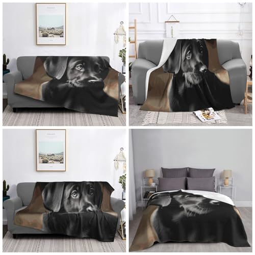 Couverture en micro polaire 152x127 cm pour lit et canapé