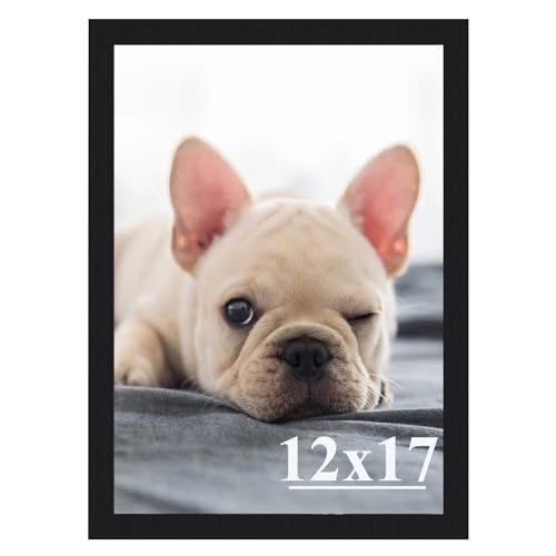 RUN HELIX 12x17 Picture Frame, Wall Gallery Photo Frames,Stable and Sturdy Black Frame with High Definition Plexiglass,12x17 Poster Photo Frame,Horizontal and Vertical Formats for Wall Hangi