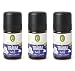 Produktbild Primavera® - Kids - Duftmischung - Träum Süß - 3x 5 ml