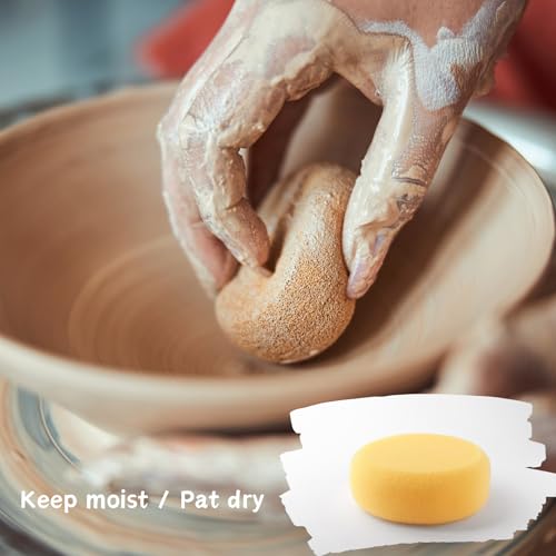 Professional Ceramic Pottery Wheel Kit