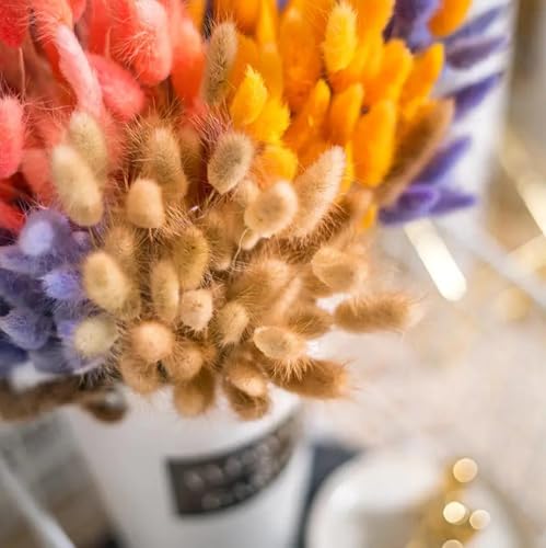 Pampas Grass Decor Tall 20 piezas 45 cm decorativo miniatura 4