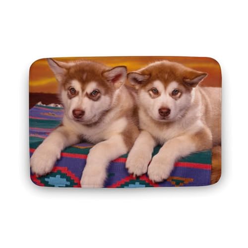  TGh   oX}bg   z փ}bg  O    ~ Aj LN^[ @}bg   ʏ