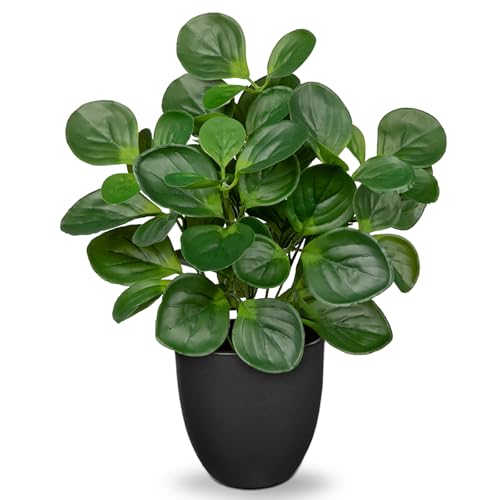 Oairse 37 cm plantas artificiales en maceta, planta artificial de interior peperomia con hojas de menta, decoración para bonsái de escritorio, plantas artificiales con macetas, decoración de mesa,