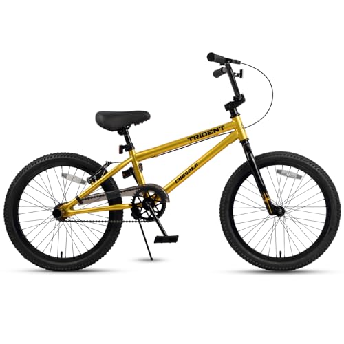 cubsala 20 Inch Gold BMX Race