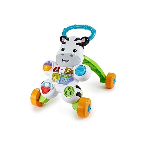 Fisher-Price Learn With Me Zebra Walker Cover