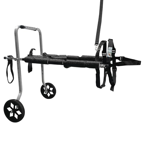 Cadeira De Rodas Para Cachorro Tamanho G Grande Regulável Pet Best Soluções