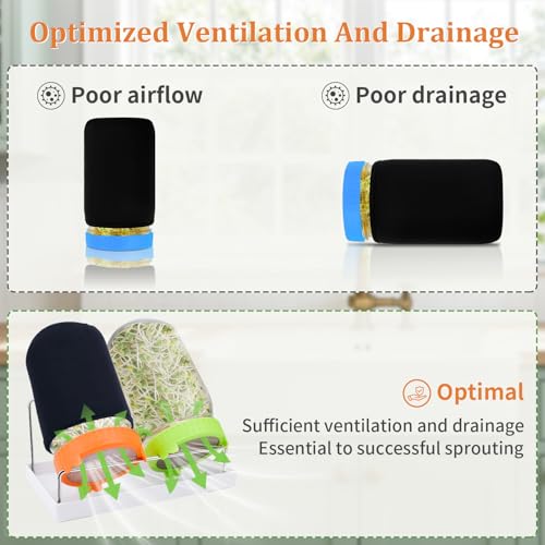 Kit de germination de graines de radis avec 2 bocaux Mason - 7