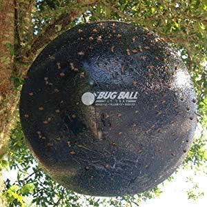 Bug Ball 3 Pack Deluxe Kit Complete- Odorless Eco-Friendly Biting Fly and Insect Killer with NO Pesticides or Electricity Needed, Kid and Pet Safe