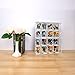 AITEE Acrylic Display Case with Mirrored Back, Display Cabinet for Mini Funko Pop Figures, Clear Wall Mounted or Desktop 4 Tiers Storage Box Cabinet Organizer for Mini Toys,Collections and Stone Rock