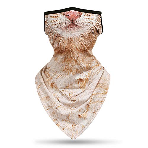 DETUCK (TM) lbNJo[ |lbNJo[ tFCXJo[ ACXVN ԏ󐶒n ⊴ ėp y RpNguvJbg Ăh h ho z jp (L-1)