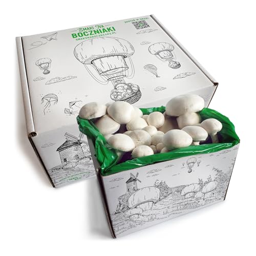 Pilzzuchtset für Zuhause – Komplettes Anzuchtset für braune Champignons – Champignonbox mit Substrat & Anleitung – Perfekt für Anfänger & Pilzliebhaber (White)