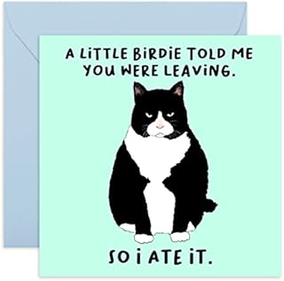 Central 23 - Funny Greeting Cards for Her - 'A Little BirdieYou Were Leaving' - Cheeky Congratulations Card - Fun New Job Card - Leaving Cards for Colleagues - Comes with Fun Stickers