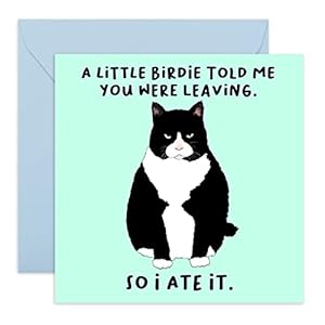 Central 23 – Lustige Ruhestandskarte – „A Little Birdie. You Were Leaving“ – Geschenke für Kollegen – Abschieds- und Abschiedskarte – lustige Glücksbringer wir werden dich für Kollegen vermissen