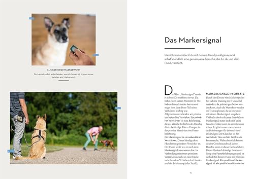 Marker-Training für Hunde: Auf Augenhöhe zum glücklichen und kooperativen Hund