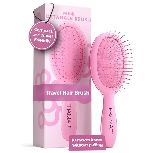 FRAMAR Mini Hair Brush Women Mini Hairbrush Small Hair Brush Detangler Hairbrushes For Women Travel Brush Compact For Travel Reduces Breakage For All Hair Types Pink