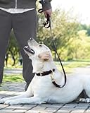 Zoom IMG-2 joytale guinzaglio cane cuoio in Zoom IMG-2 joytale guinzaglio cane cuoio in