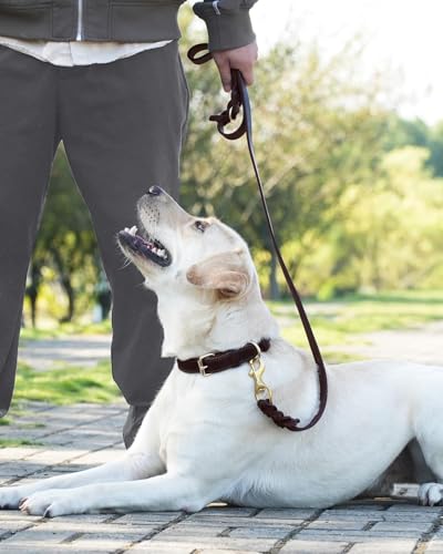 Joytale Hundeleine Leder, Strapazierfähige Lederleine Für Hunde Mit Stabilem Messinghaken, Weich Und Langlebig, Geeignet Für Kleine, Mittlere Und Große Hunde(Braun, 150cm×2cm)