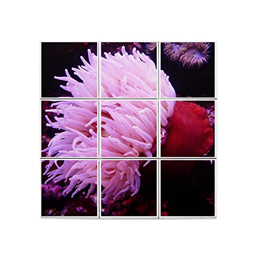 Carreaux céramique décoratif pour remplacer la faïence blanche unie de douche