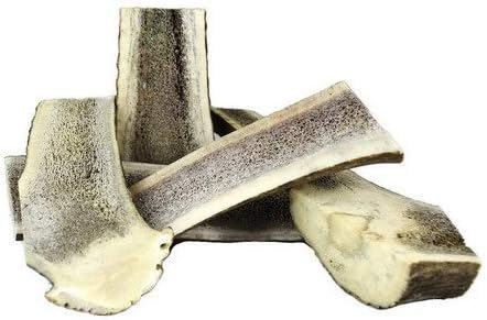 cervo che chiama per dollari