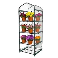 DIVCHI 4 Tier Greenhouse for Indoor & Outdoor Use | Durable Steel Frame | Clear PVC Cover | Ideal for Growing Vegetables, Flowers, Herbs, and Seedlings