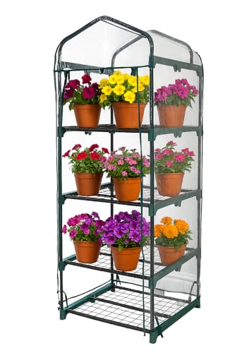 DIVCHI 4 Tier Greenhouse for Indoor & Outdoor Use | Durable Steel Frame | Clear PVC Cover | Ideal for Growing Vegetables, Flowers, Herbs, and Seedlings