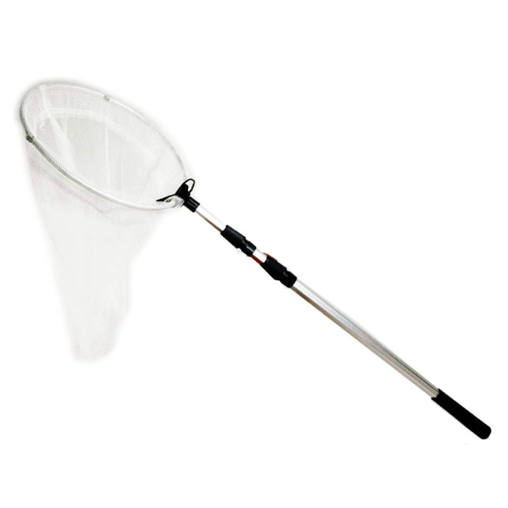 ruitai Extendable Insect Net,Extendable Butterfly Bee Insect Capture Net