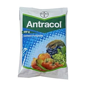 Bayer Antracol Broad Spectrum Fungicide - 250g