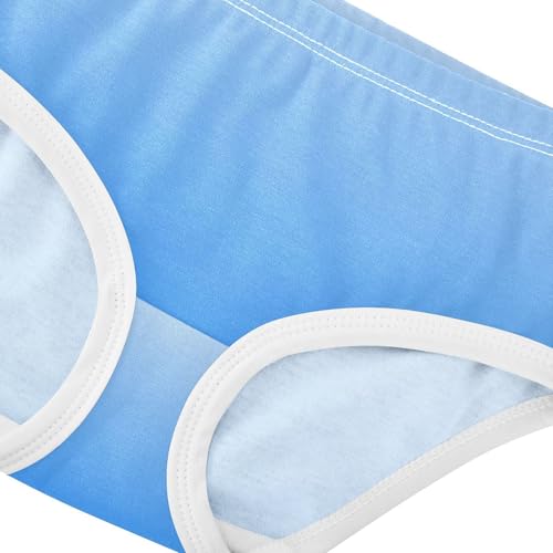 Joisal Girls Underwear Toddlers 2t Cotton Little Girl Panties Print Kids Briefs Undies Elegant Blue Azure Gradient4