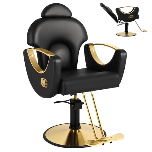 Salon Chair for Hair Stylist
