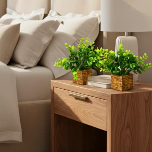 Image of DecoreBugs Artificial Eucalyptus Plant with Plastic Pot (Pack of 2) | 12 cm Height | Mini Potted Plants for Shelf Decor, Home, Office, Living Room, Desk & Table Item Decoration