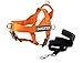 Dean & Tyler DT Universal No Pull Dog Harness with Gangster Patches and Puppy Leash, Orange, Large