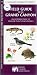 Field Guide to the Grand Canyon: An Introduction to Familiar Plants and Animals (A Pocket Naturalist Guide)