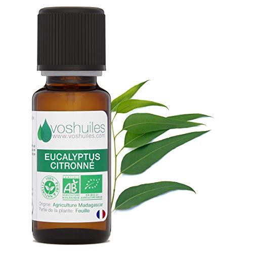Huile Essentielle BIO d'Eucalyptus Citronné - 100% Pure et Naturelle - HEBBD et ECOCERT - Utilisation Alimentaire - Huiles Essentielles avec Parfum Frais - 20ml - VOSHUILES