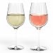 iBar Set 2 DOUBLE WALL THERMAL WINE GLASSES (20 oz) - Keep fresh wine longer - Ideal for Rosé and White wine