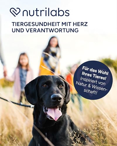 NutriLabs Canicox-HD Gelenktabletten für Hunde 50 Stk. - mit MSM, Chondroitin, Hyaluronsäure, Glucosamin & Teufelskralle - Gesundheitsprodukte für Hunde - Nahrungsergänzungsmittel Hund