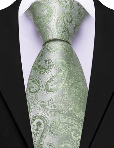 Image of Barry.Wang Paisley Tie for Men Silk Woven Necktie and Tie Clip Set Wedding Party Business Formal