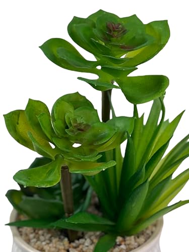Image of Artificial Succulent Plant in White Ceramic Pot, Realistic Faux Greenery for Home Office Desk Tabletop Decor, Low Maintenance Long-Lasting Indoor Decorative Plant (A)