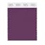 Purple Passion
