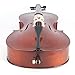 Cecilio 4/4 Full Size Cello, Ebony Fitted Flamed Solid Wood Cello with Hard & Soft Case, Stand, Bow, Rosin, Bridge and Extra Set of Strings (4/4-Size, Varnish)
