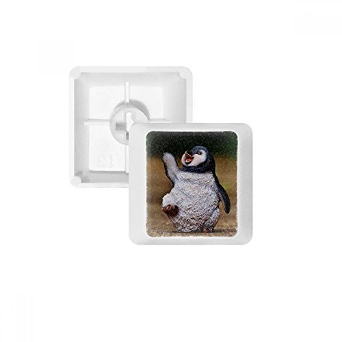 Keycaps PBT pour clavier mécanique OEM blanc vierge avec touches R1 Antarctique