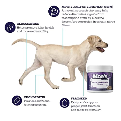 Moe's Glucosamine Dog Joint Supplement + Glucosamine, Chondroitin, Hyaluronic Acid, Vitamin C, E – Bone Health - Joint… - Image 4