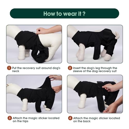Image of Kuoser Dog Surgical Suit for Rear Legs, Female Spay Recovery Suit for Dogs After Surgery, Doggie Rear Leg Sleeve to Stop Licking, Puppy Onesie for Abdomen Wounds Skin Disease,Substitute E-Collar