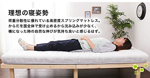Amazon｜フランスベッド マットレス シングル 折りたたみ FD