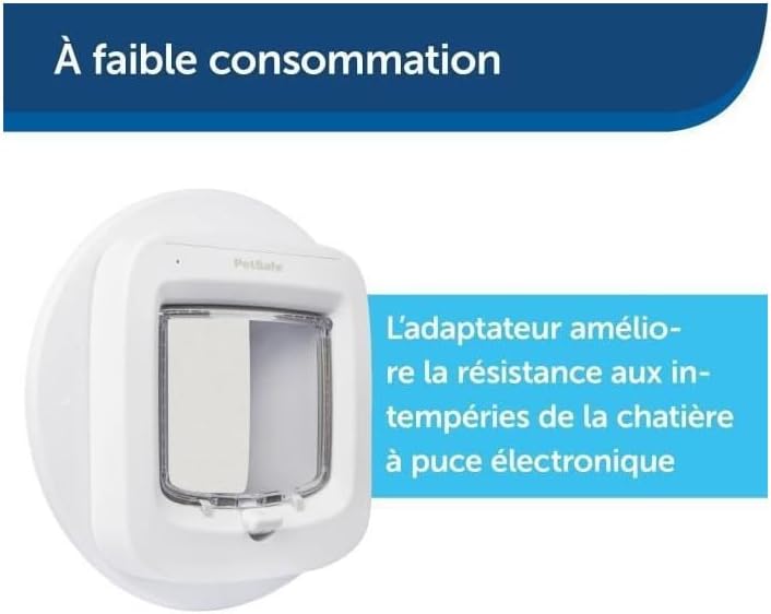 https://m.media-amazon.com/images/I/41gkehtWdnL._AC_SL1000_.jpg