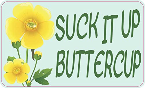 Imán decorativo StickerTalk 5x3 pulgadas miniatura 1