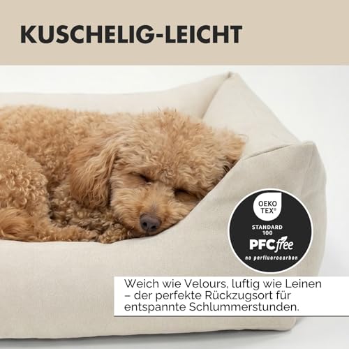 PAW WOW Emma Hundebett | Orthopädisches Hundebett | Hundekörbchen für kleine und mittelgroße Hunde (Beige, 85x65cm)