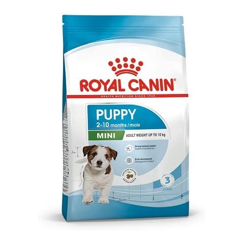 Comida seca para perros Royal Canin Mini Junior Croquetas, 2 kg Cover