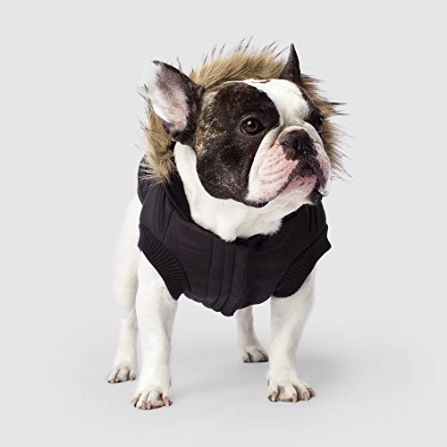Canada Pooch North Pole Parka, Black, Size 12