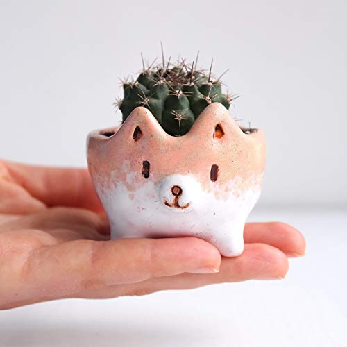 Corgi Pots for Succulents 1.5-2.4 in - Small Ceramic Flower Pot for Potted Succulent and Cactus Planters with drainage Indoor - Cute Planter Animal Shape - Decorative plant holders with drain